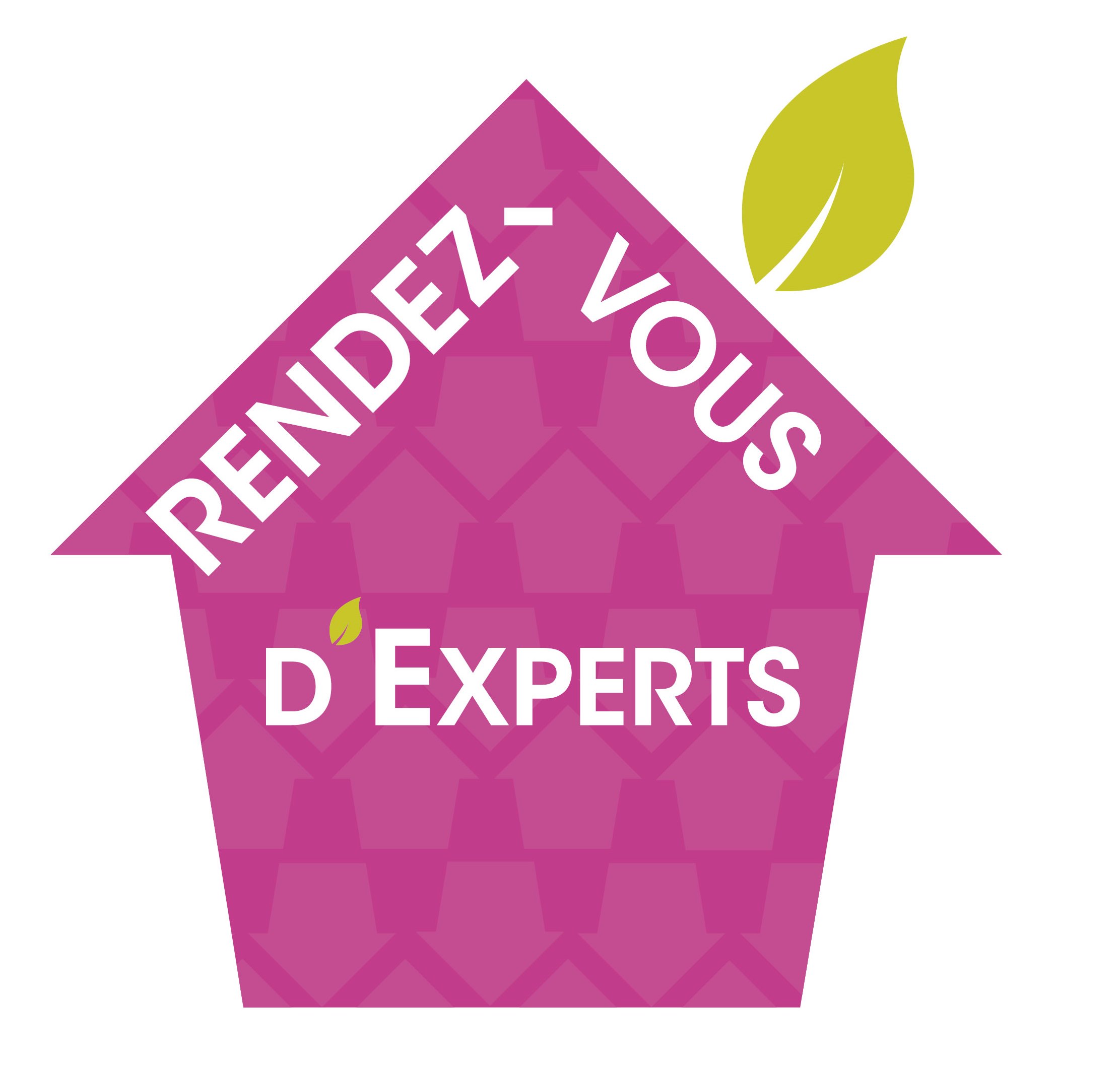 logo RDV expert