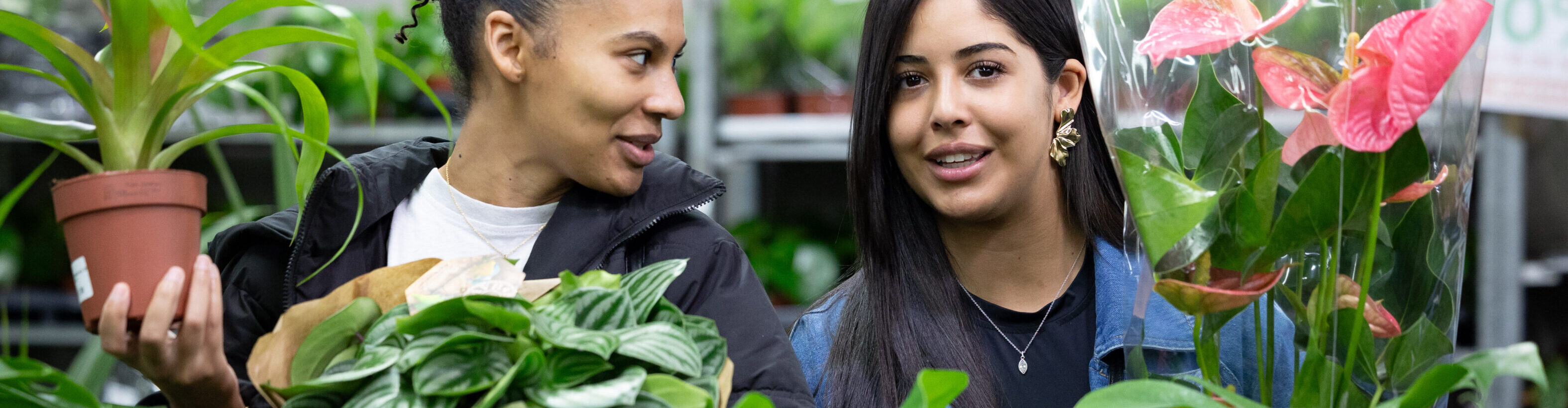 Vue de visiteurs en train d'acheter des plantes lors de la grande vente de plante organisée avec 