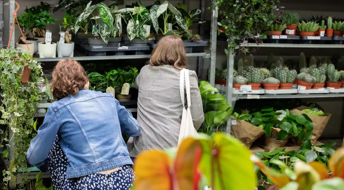 vente de plantes salon habitat angers